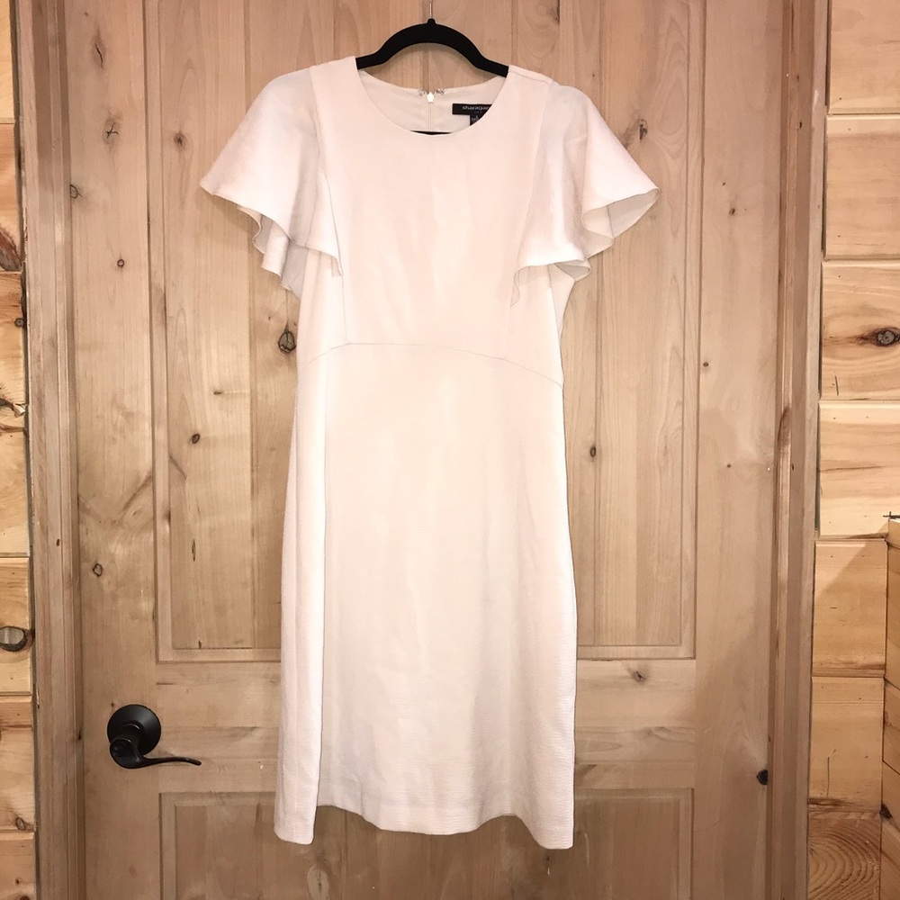 Sharagano Cream Dress